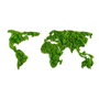 Wallity World Map Escultura de pared Verde